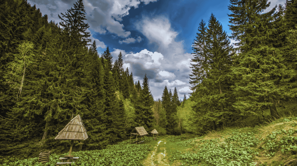 Kopaonik