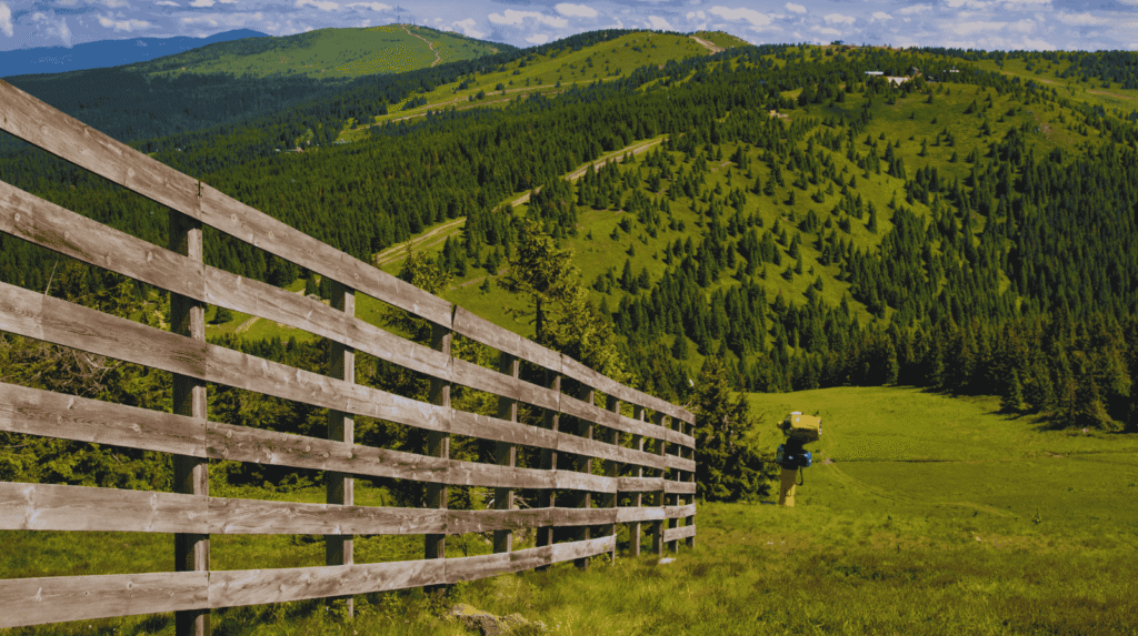Kopaonik
