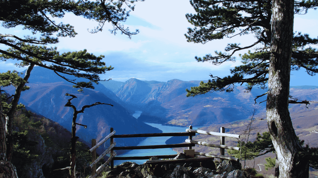 Tara National Park