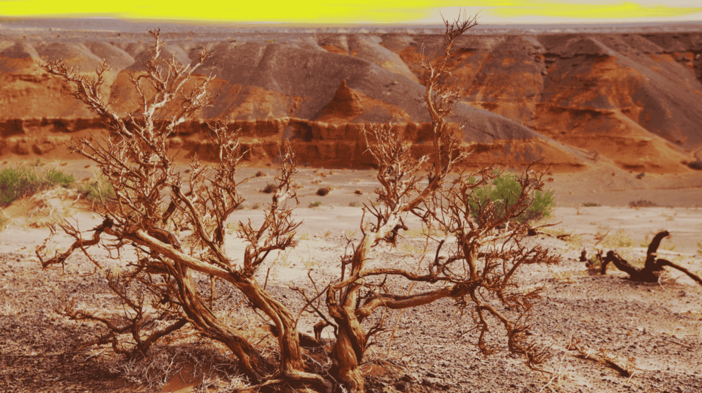 Gobi Desert