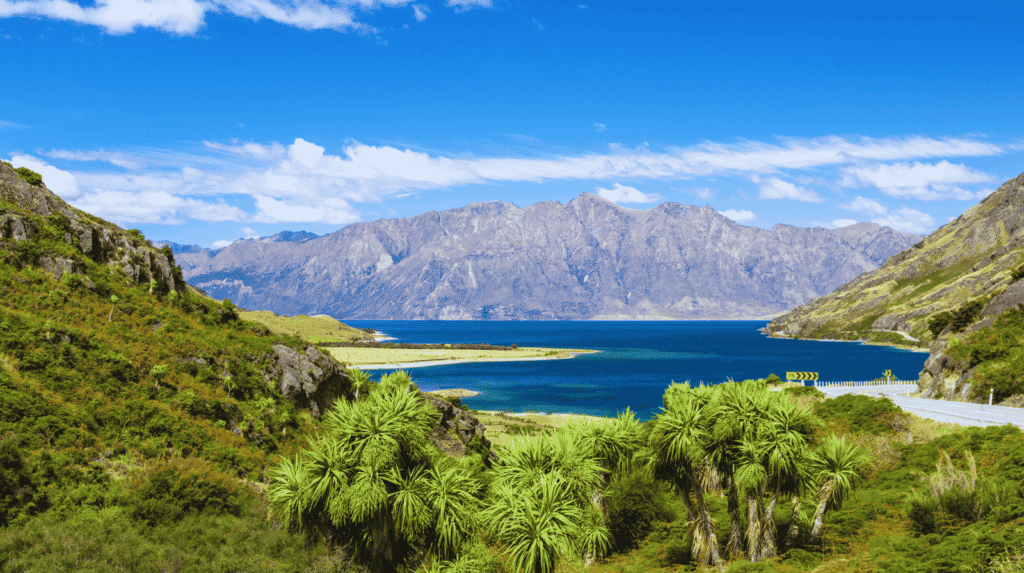 New Zealand