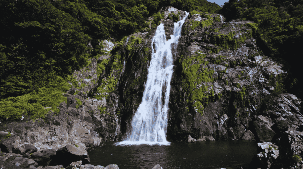 Yakushima