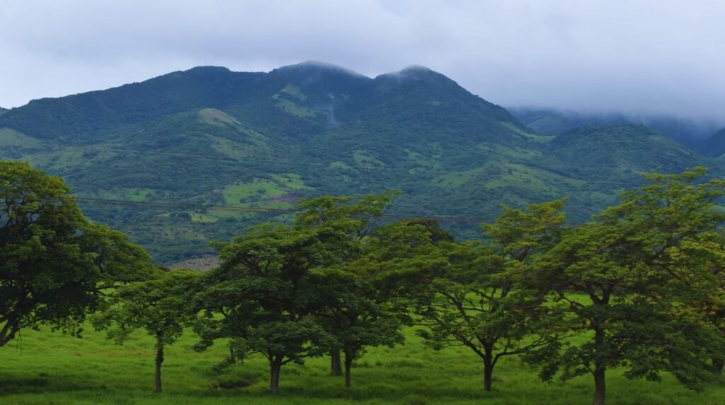 Guanacaste